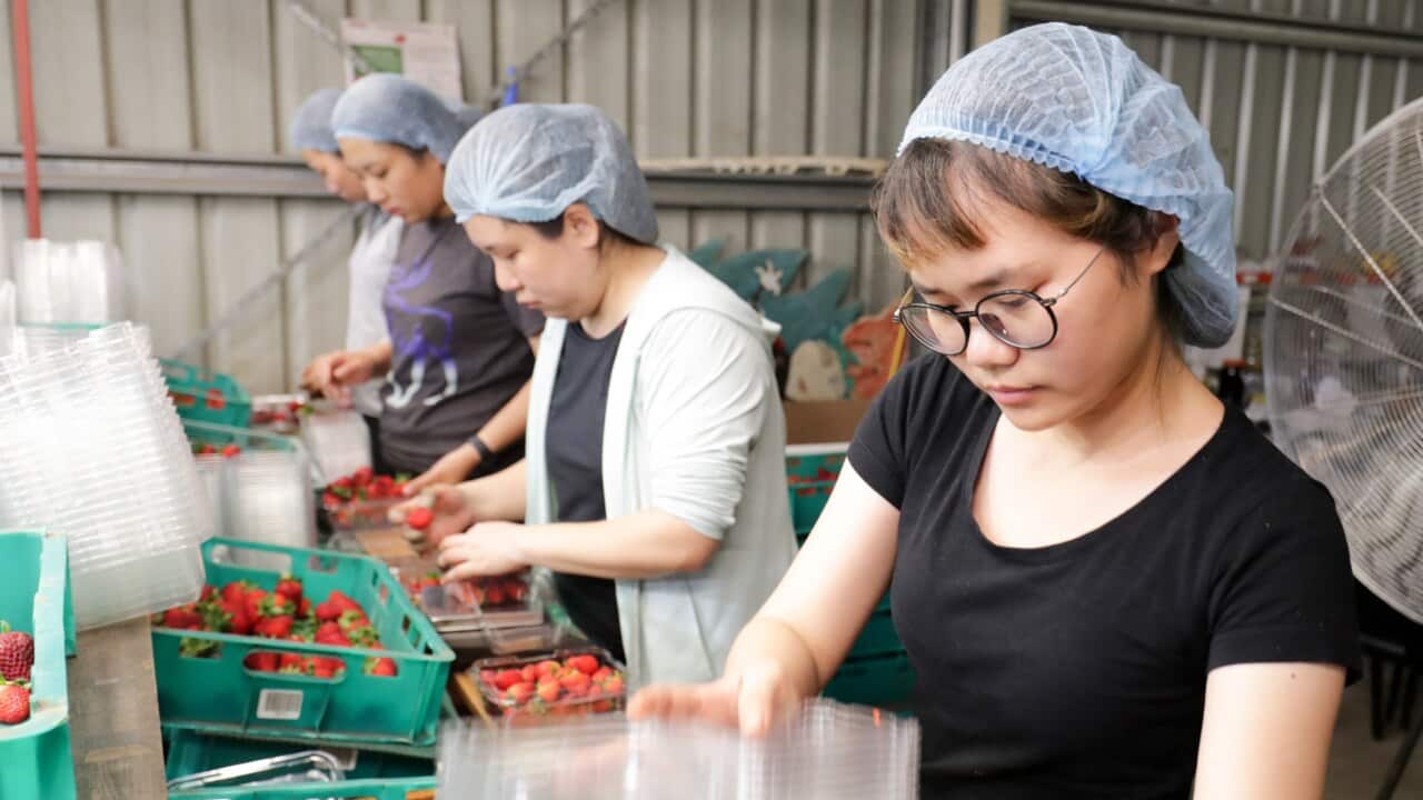 Image for read more article 'ALSO READ'