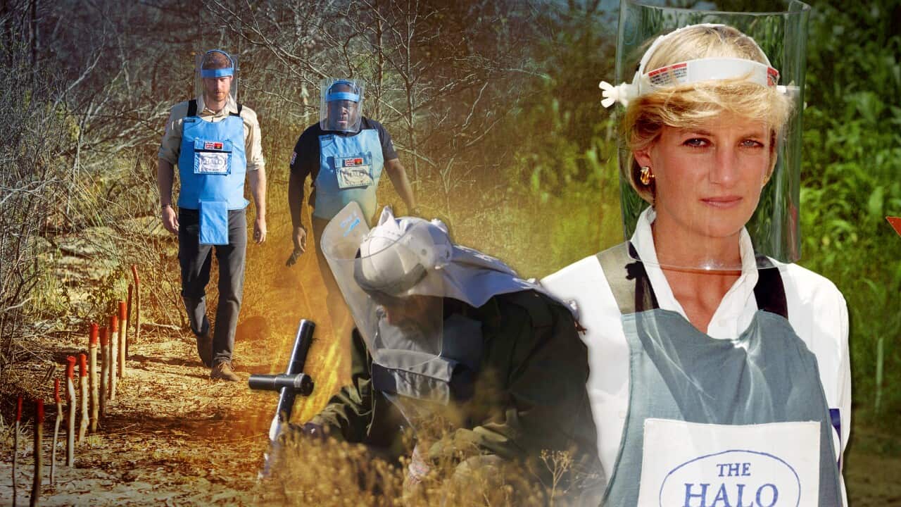 A graphic image showing a cut out of Princess Diana and someone inspecting the ground.