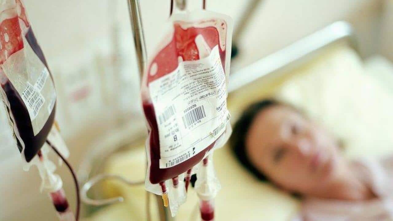 blood, patient