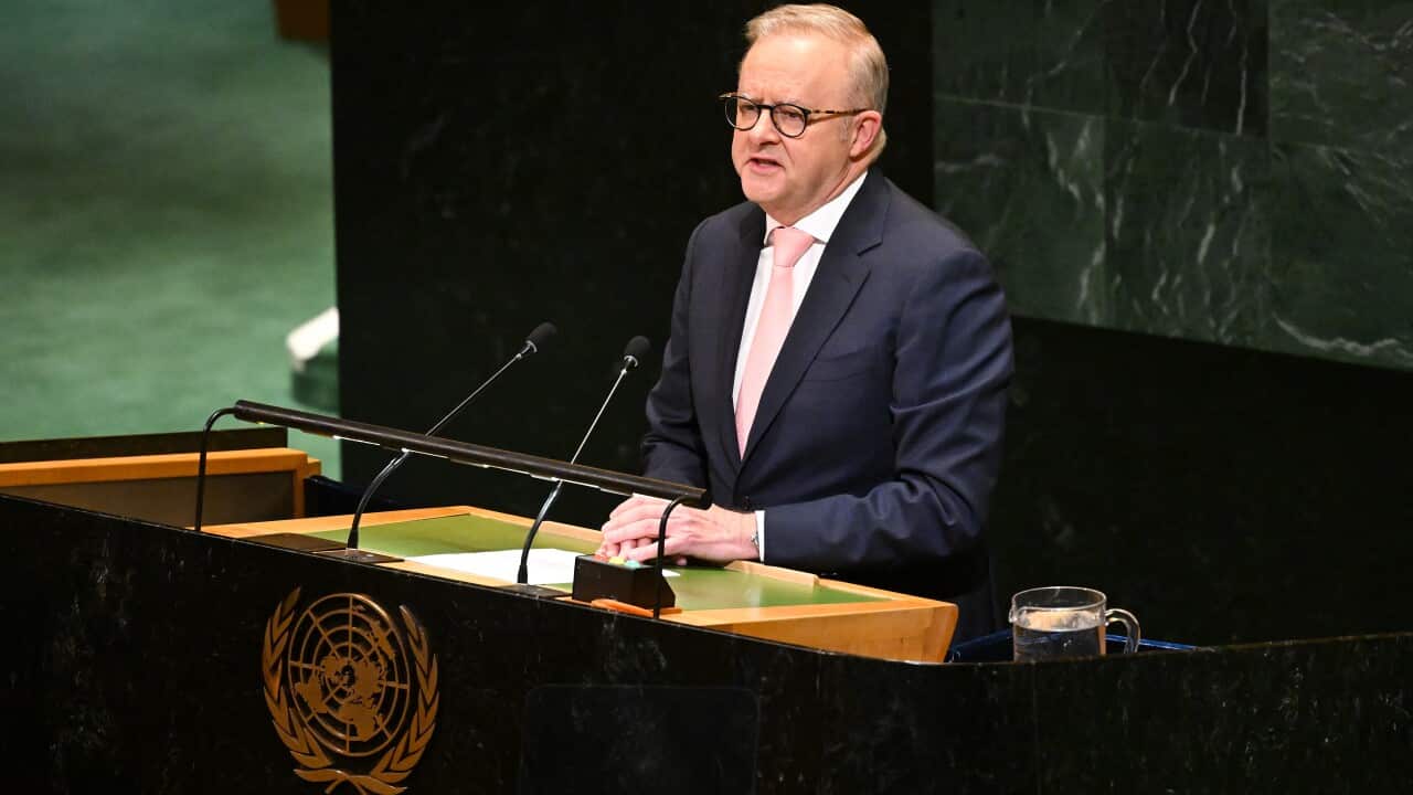 ANTHONY ALBANESE UNITED NATIONS