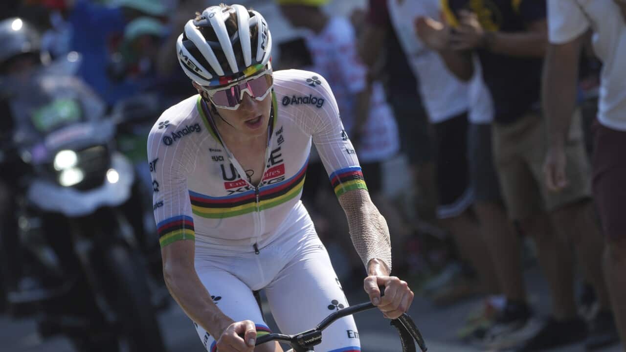 Image for read more article ''