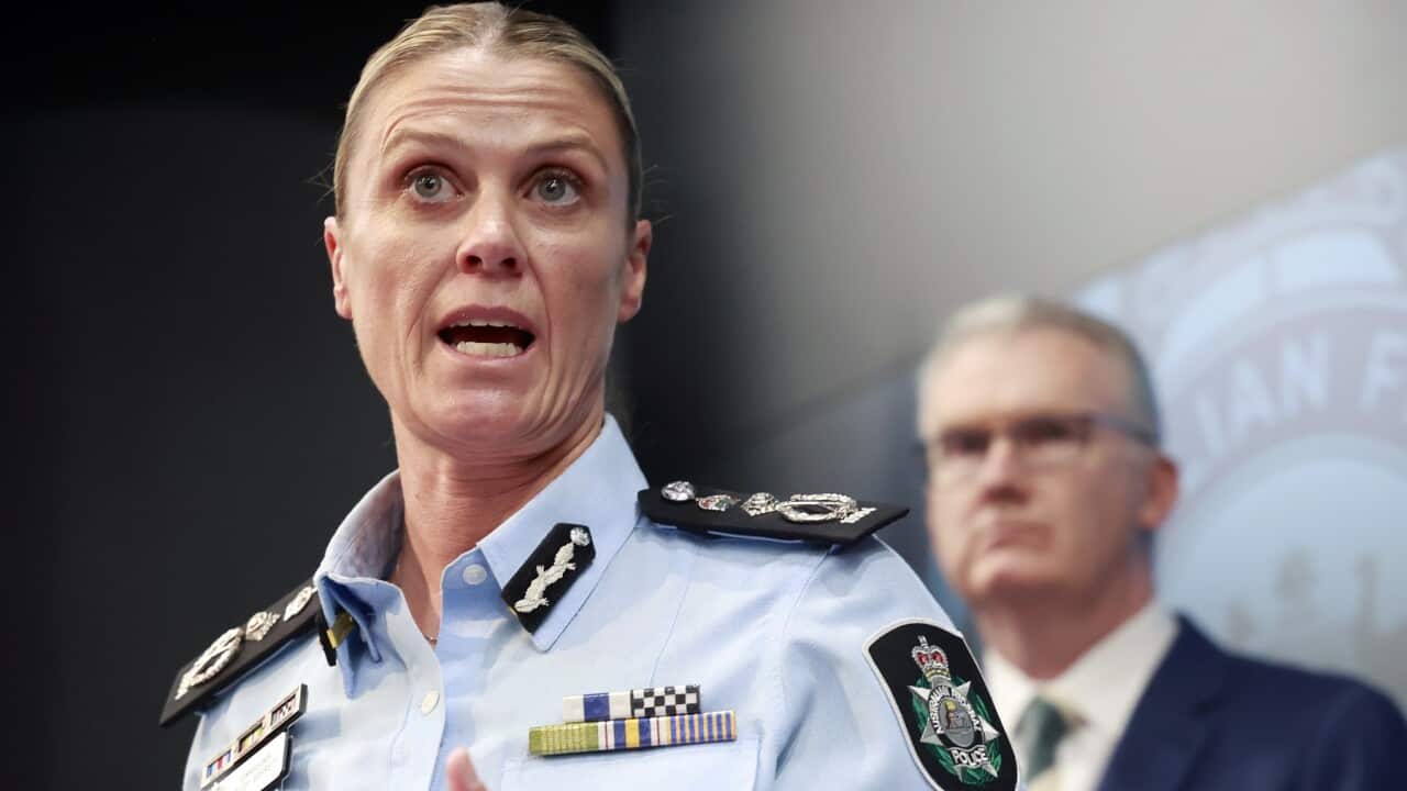 AFP BONDI TERROR INVESTIGATION