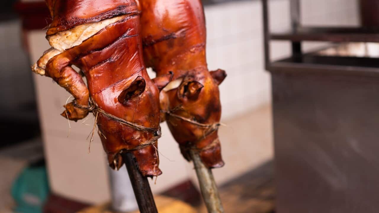 Selective focus shot of lechon being prepared - suckling pig  - traditional in Manila, Philippines