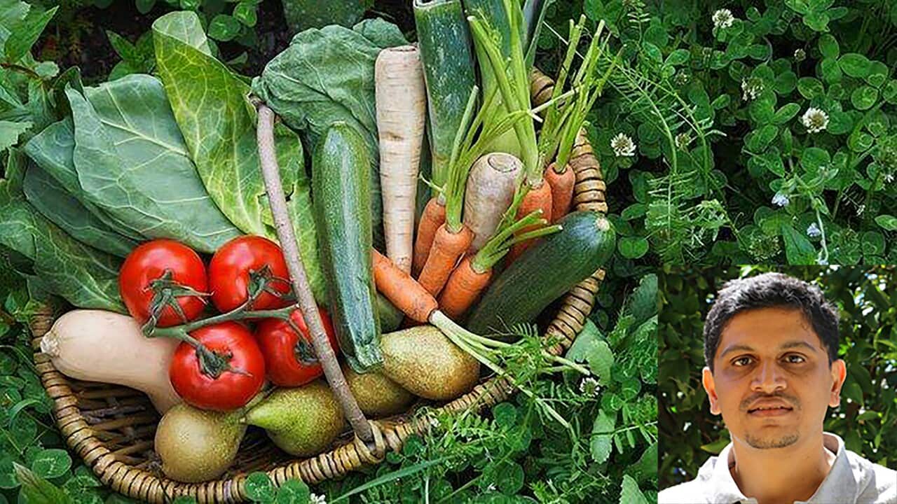 Fruit and vegetable basket surrounded by clover