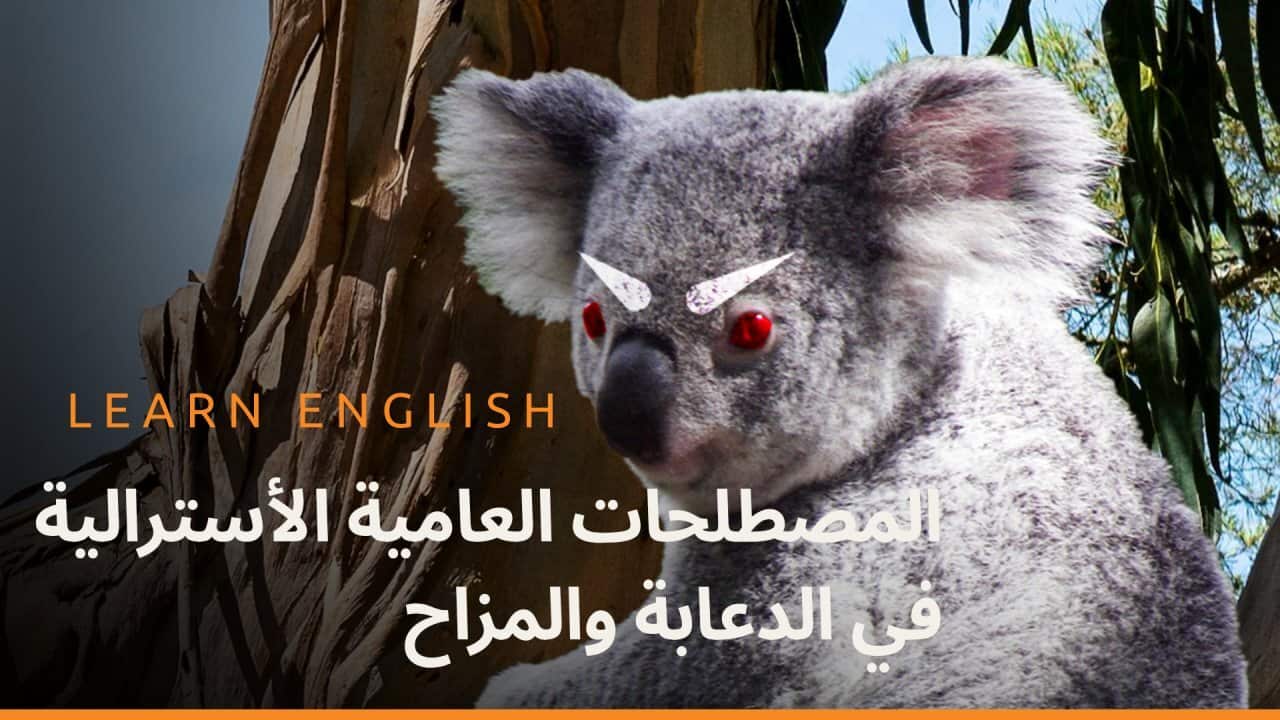 Image for read more article 'Watch more episodes'