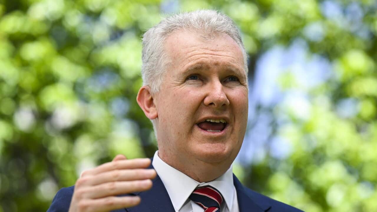 TONY BURKE IR BILL PRESSER