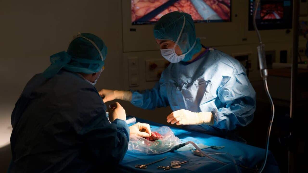 Of the research studied, 92 per cent failed to report on whether the organs had been sourced from executed prisoners.