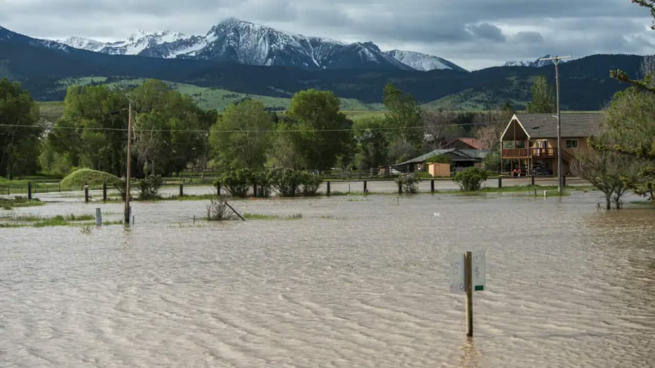 Image for read more article '阅读更多'