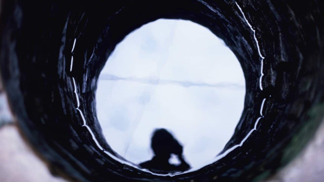 The Bug Whisperer Il caso del pozzo