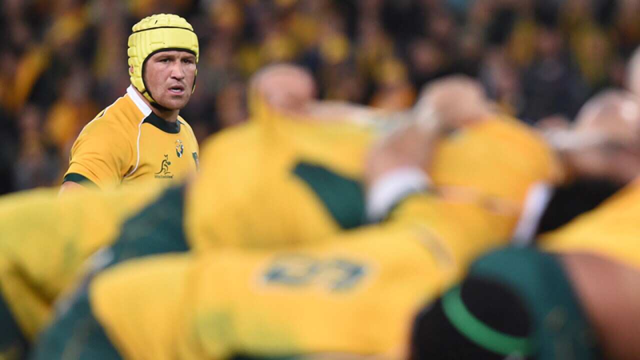 Wallabies centre Matt Giteau
