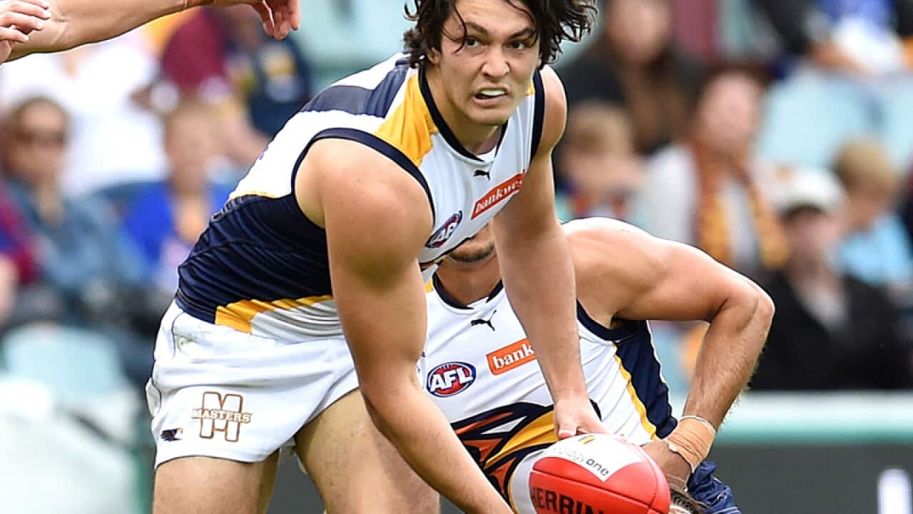 Tom Barrass of the West Coast Eagles