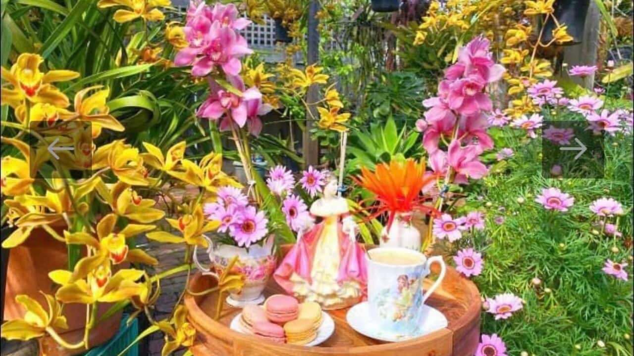 vuon lan Melbourne main photo.jpg