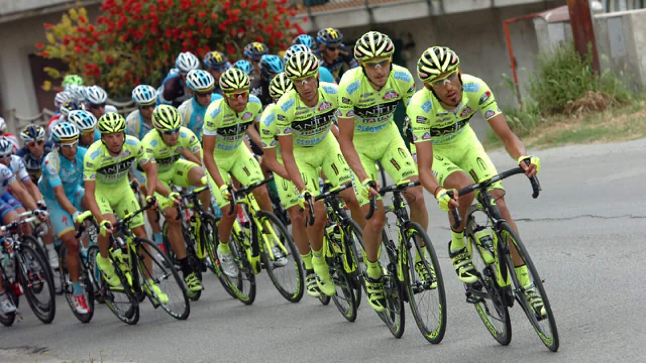 vinifantini_640_sirotti_990411846