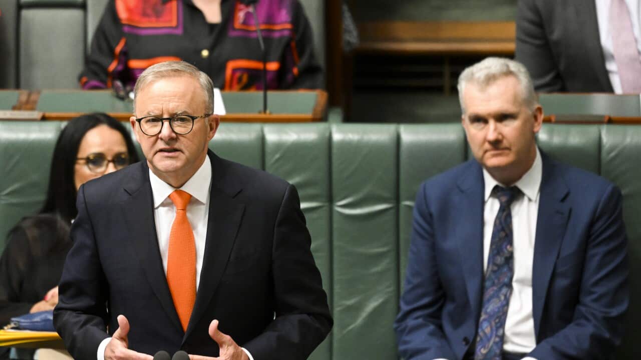 ANTHONY ALBANESE IR BILL SPEECH