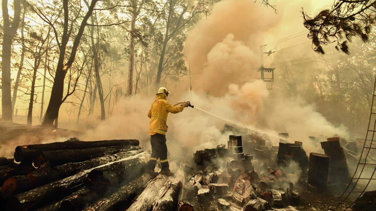 Firefighters hose down a burning woodpile during a bushfire in Werombi, 50km south west of Sydney, Friday, December 6, 2019. (AAP Image/Mick Tsikas) NO ARCHIVING