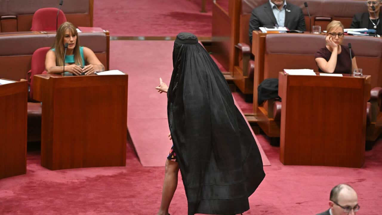 One Nation Leader Pauline Hanson wears a burqa in the Senate chamber (AAP)