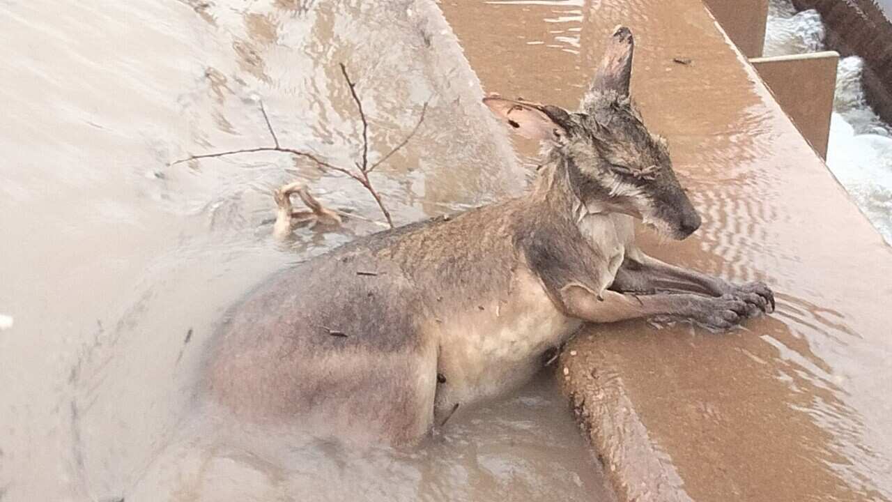 KIMBERLEY FLOODING WA