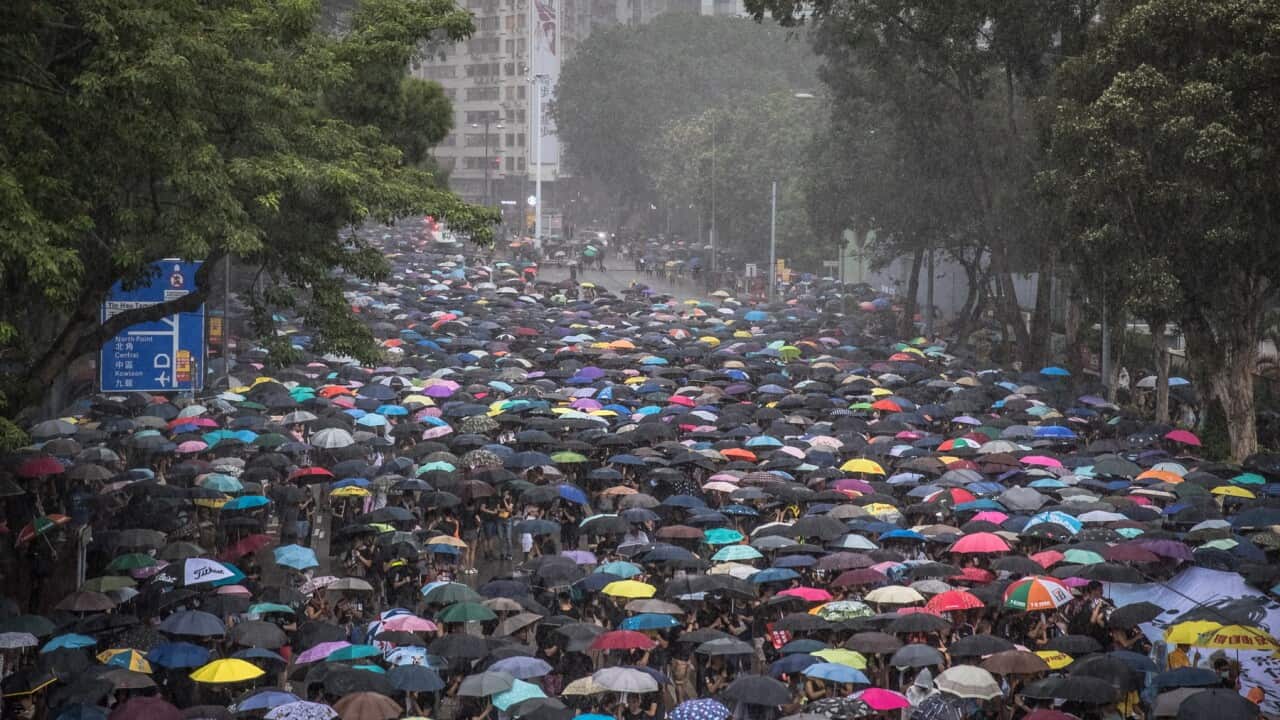Pro-democracy protesters in Hong Kong