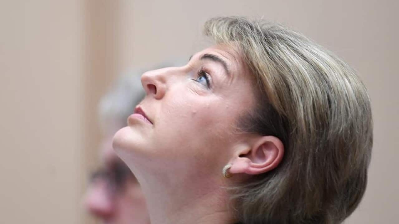Employment Minister Michaelia Cash
