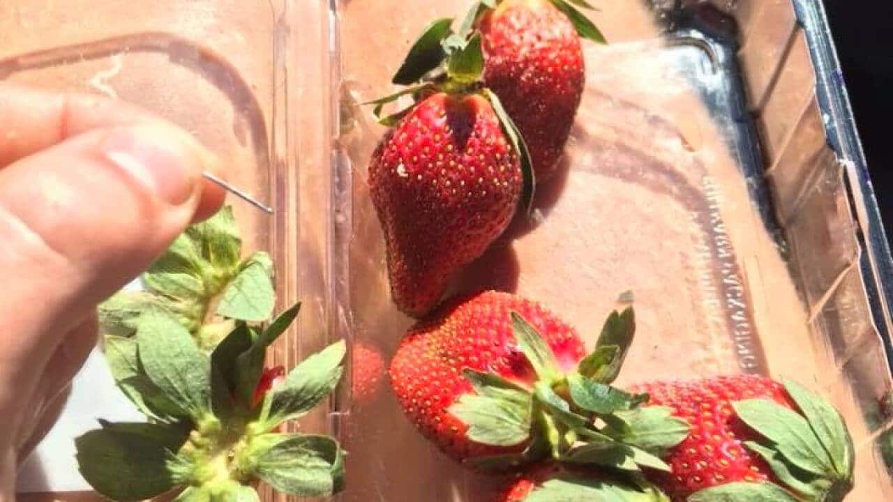 A man posted a picture of the needle he found in a strawberry punnet. 