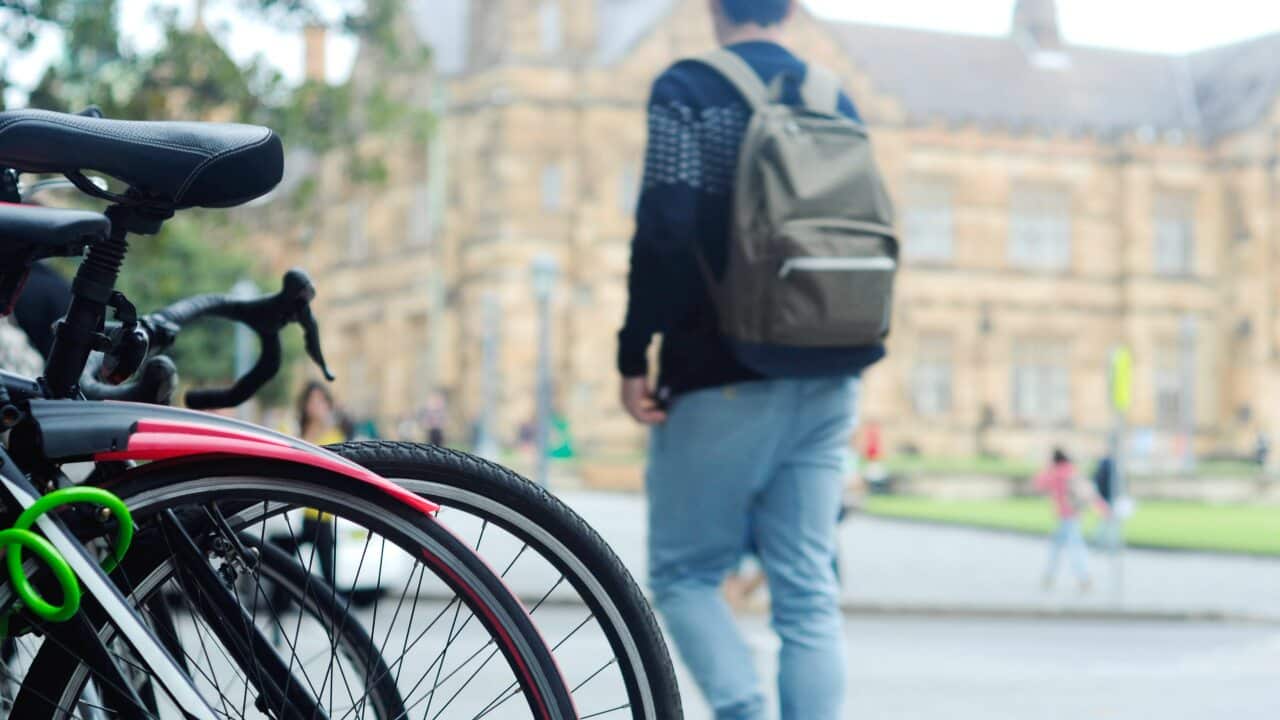 Approximately one in five on-campus students across Australia are overseas students.