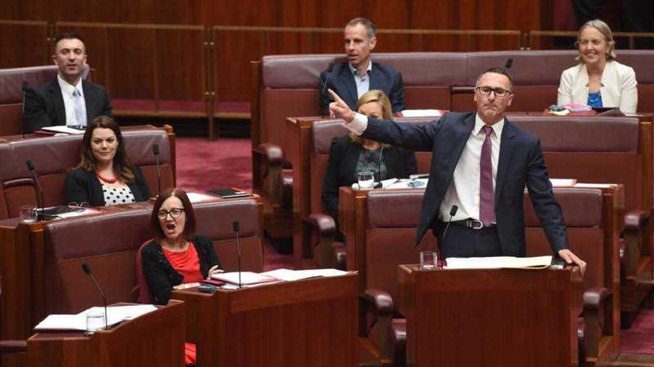Australian Greens leader Senator Richard Di Natale speaks during a debate in the Senate chamber at Parliament House in Canberra, Tuesday, March 15, 2016.