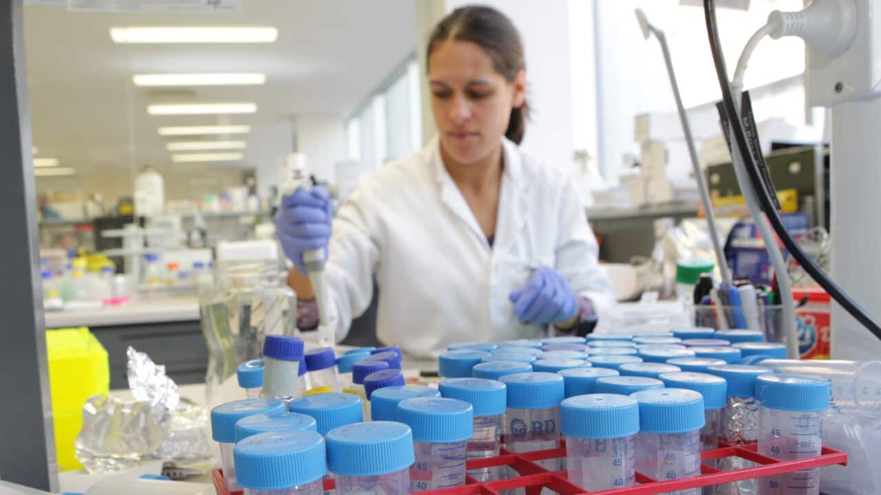 A female scientist works in a medical lab at St Vincent's Institute in Melbourne - AAP-001.jpg