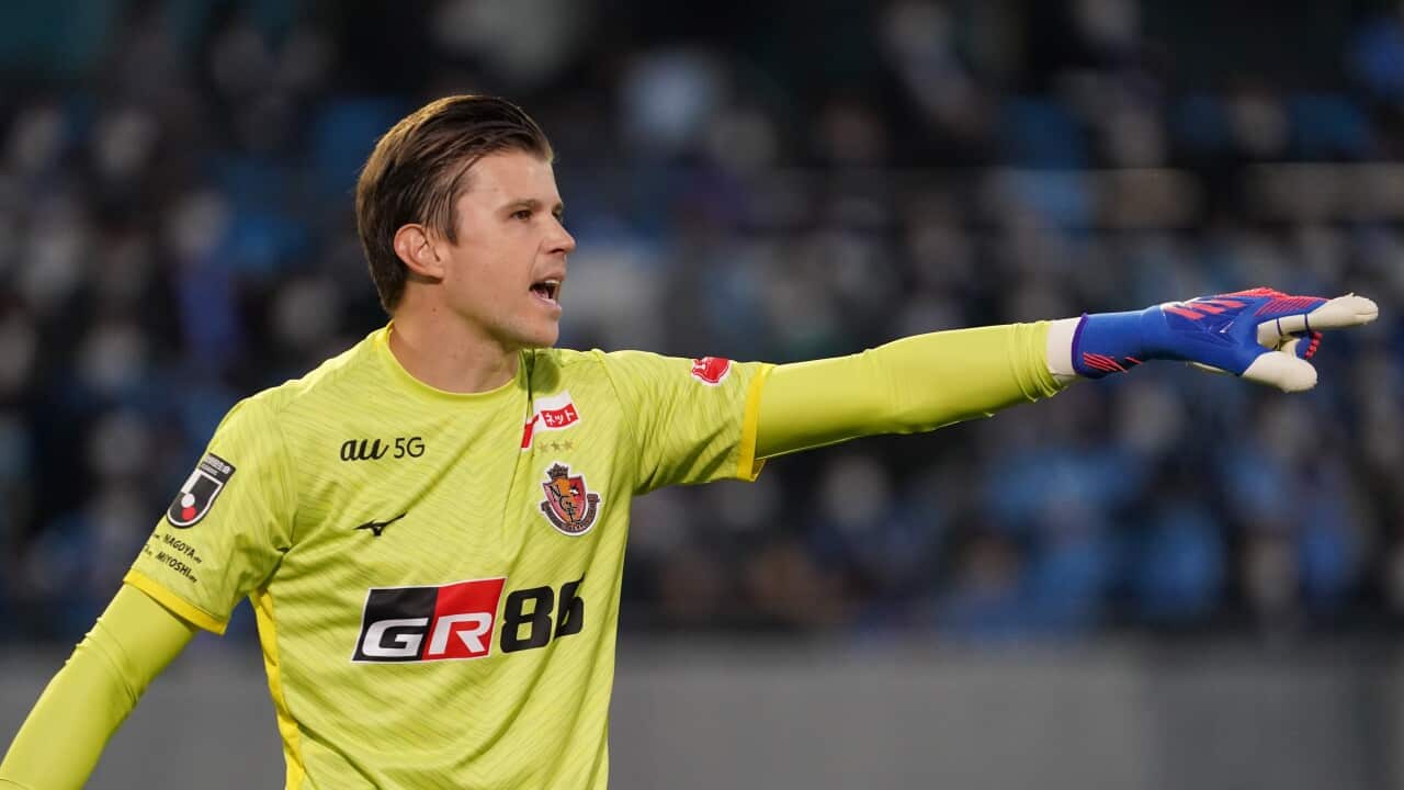 Mitchell Langerak Nagoya Grampus