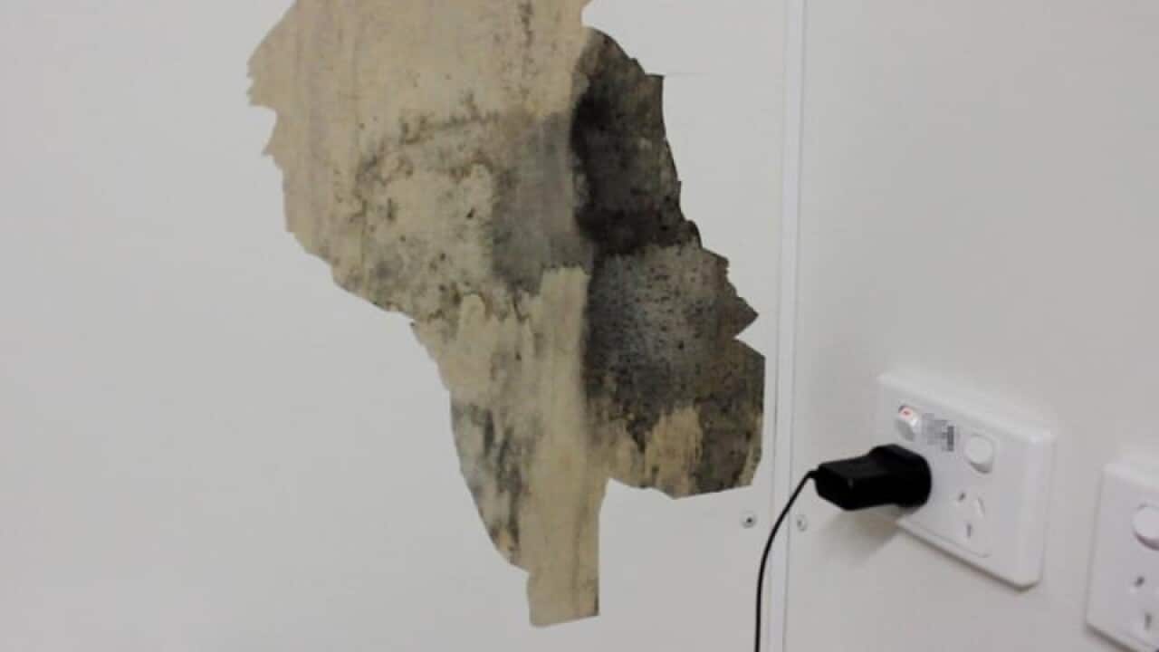 mould on the interior walls of staff accommodation at Nauru