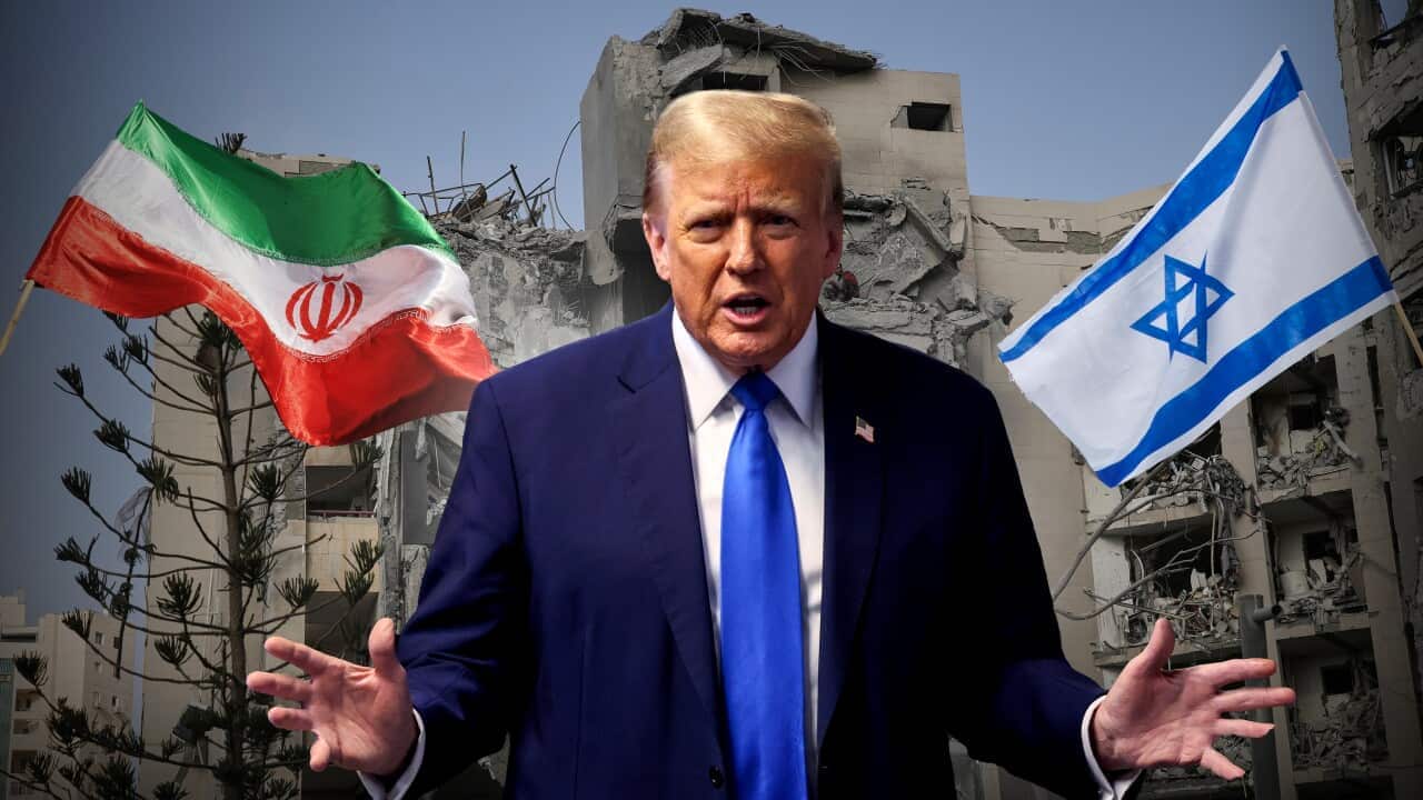 Donald Trump.png