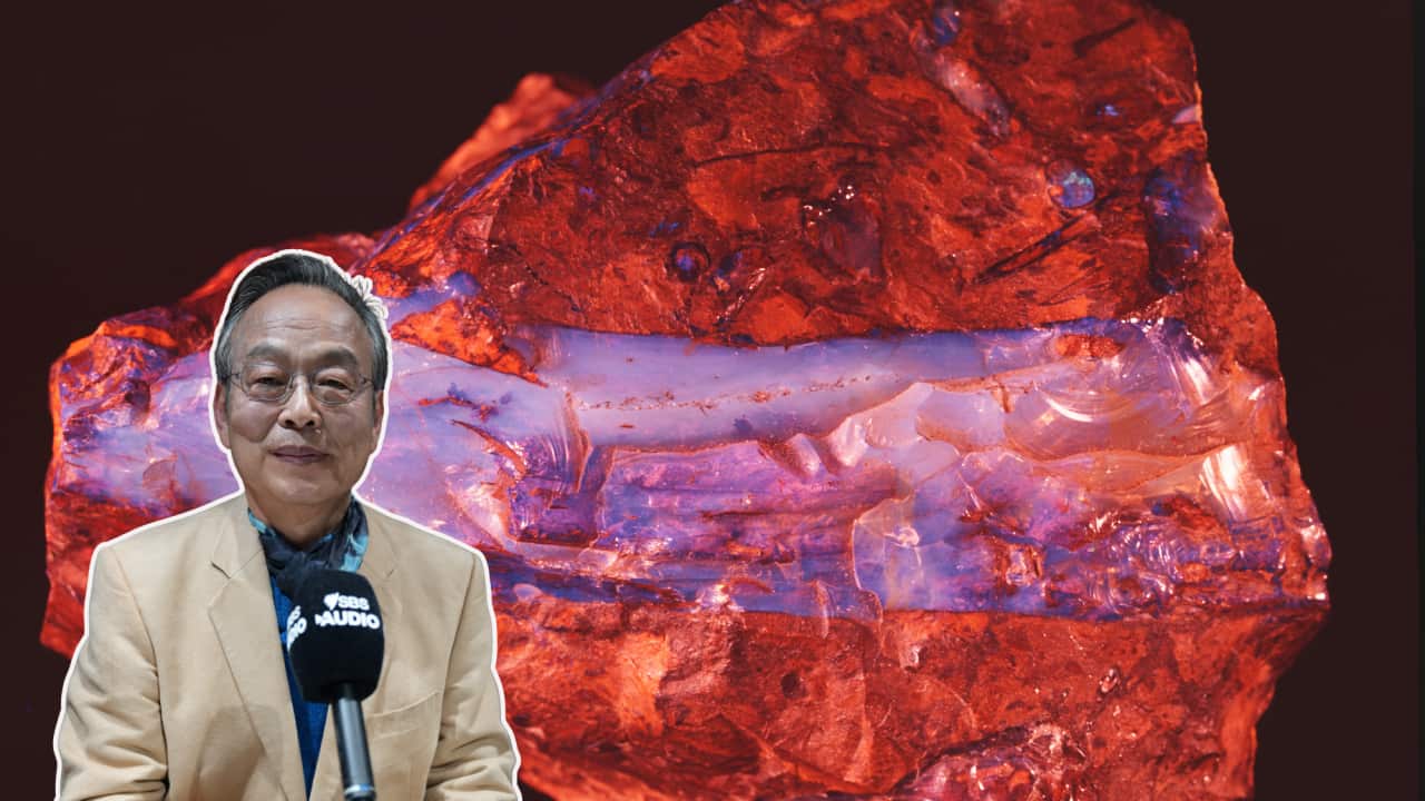 ASHJ (2).png