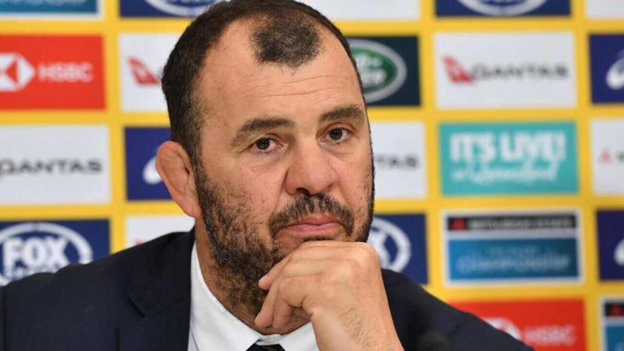 Michael Cheika