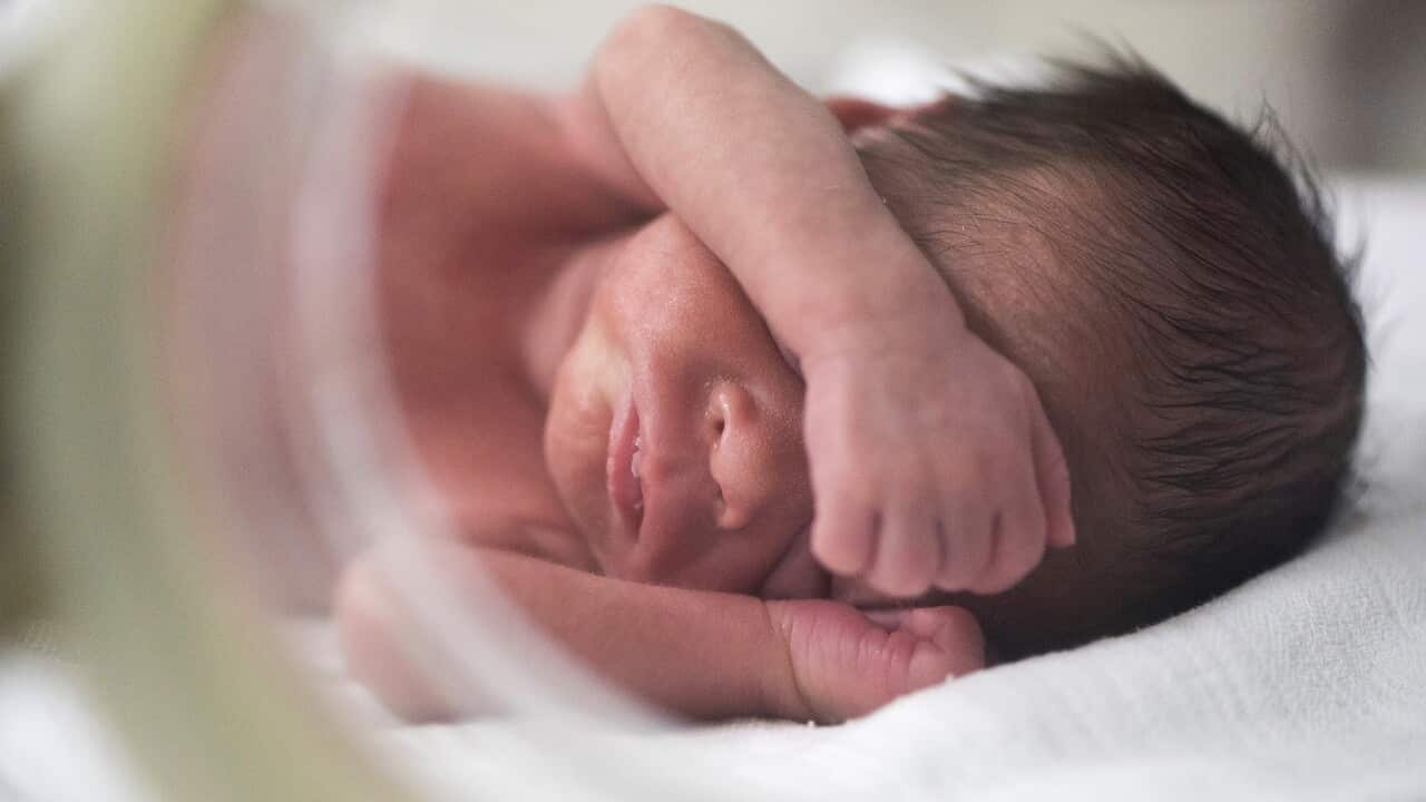 Image for read more article '更多內容'