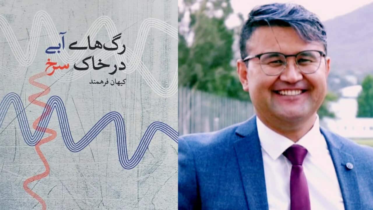 Untitled design (2).png