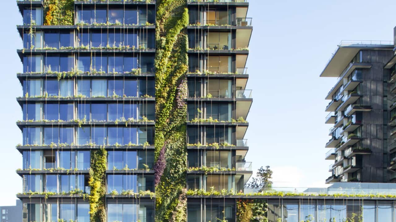 Copyright: Simon Wood Photography