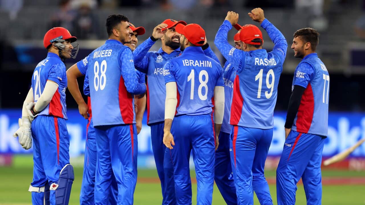 England v Afghanistan - ICC Men's T20 World Cup
