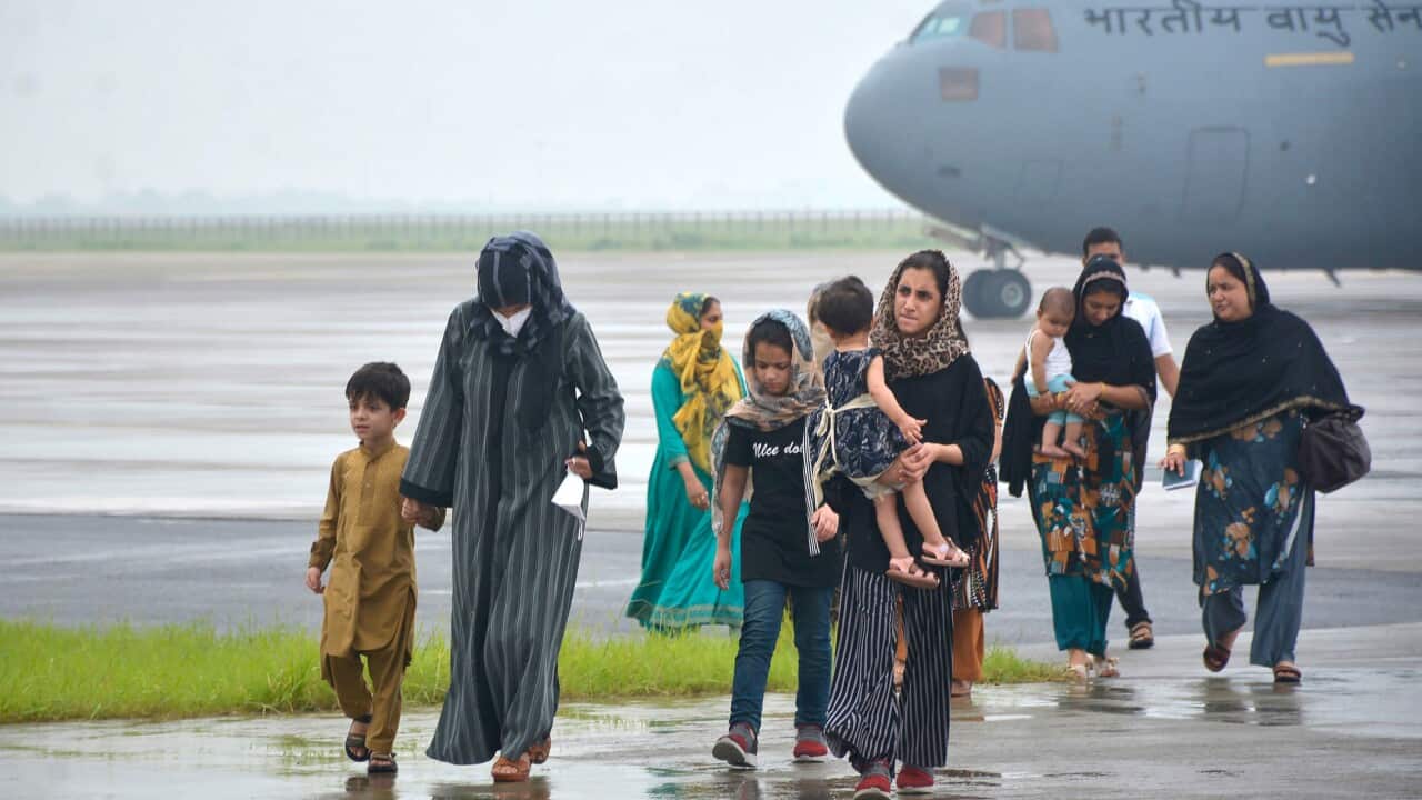 India report