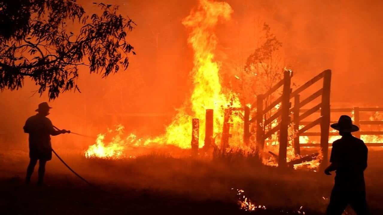 bushfire