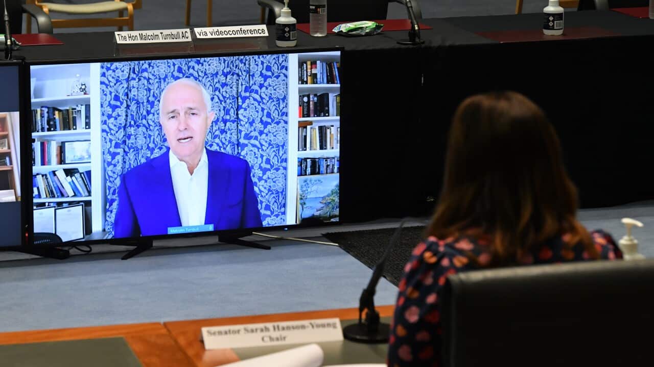 Greens Senator Sarah Hanson-Young questions former prime minister Malcolm Turnbull at a Senate inquiry into Media diversity in Australia, 12 April, 2021. 