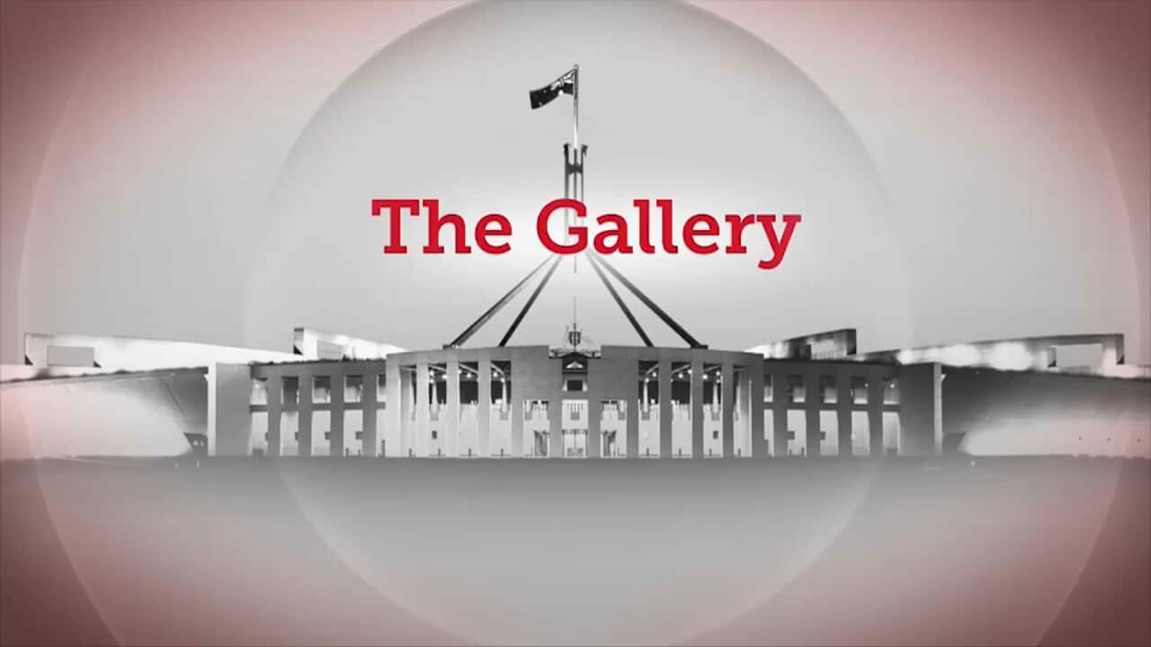 The Gallery