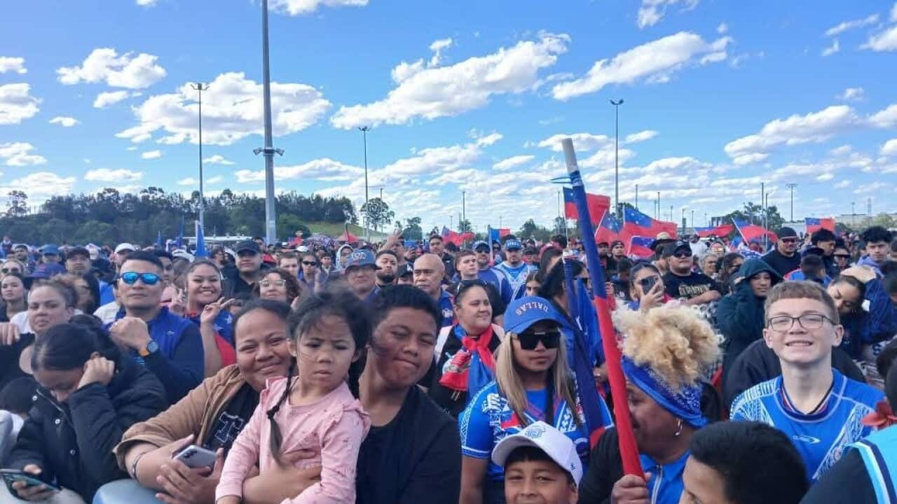 Toa Samoa supporters.jpg