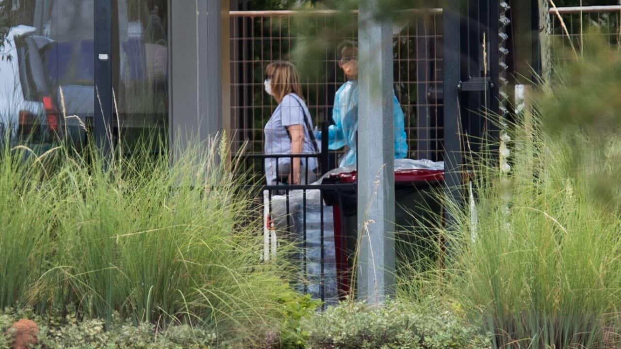 Australian evacuees, from the coronavirus-struck cruise ship Diamond Princess, arrive in Darwin.