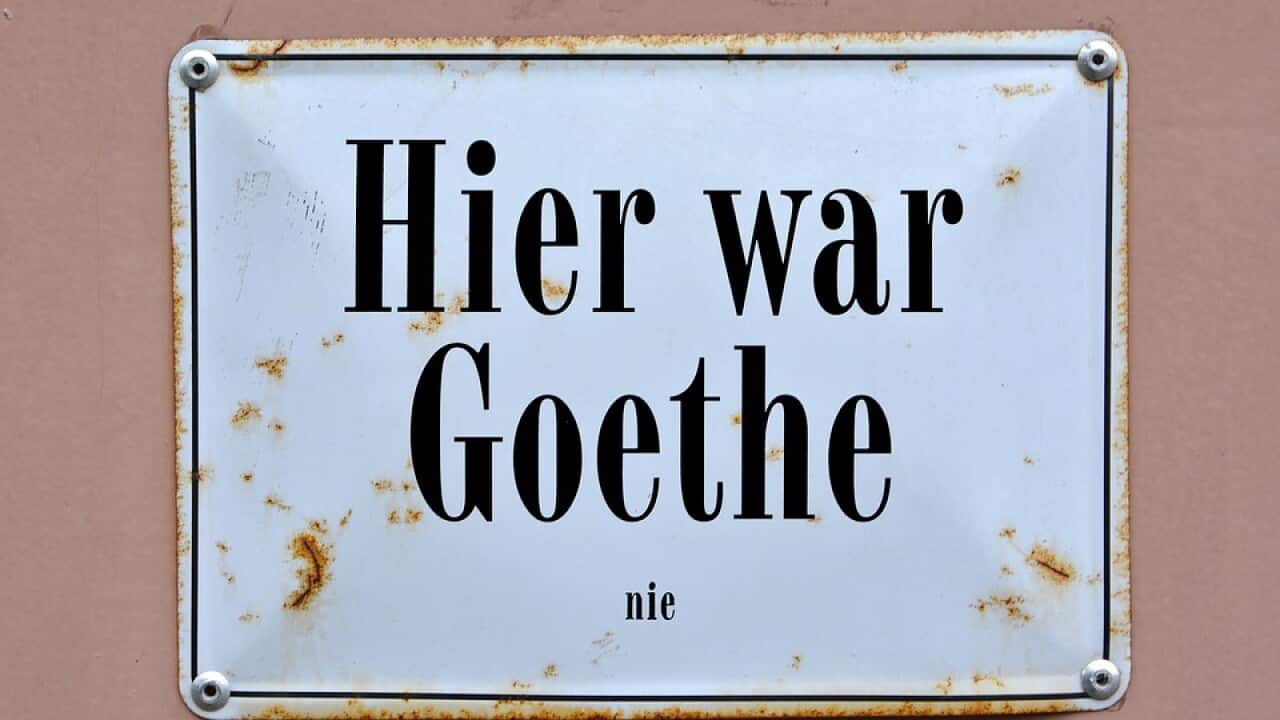 deutsch sprache grammatik rechtschreiben reform gendern