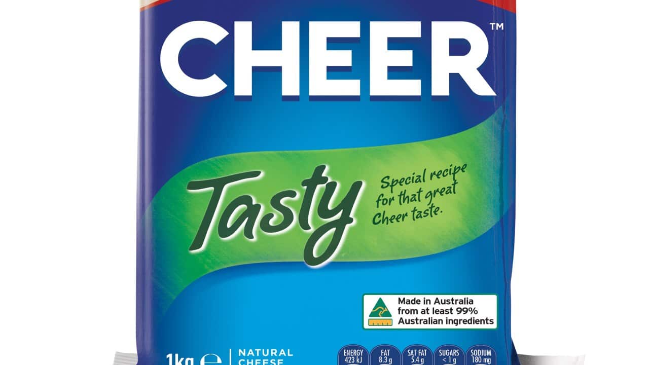 food blank package isolated over white background