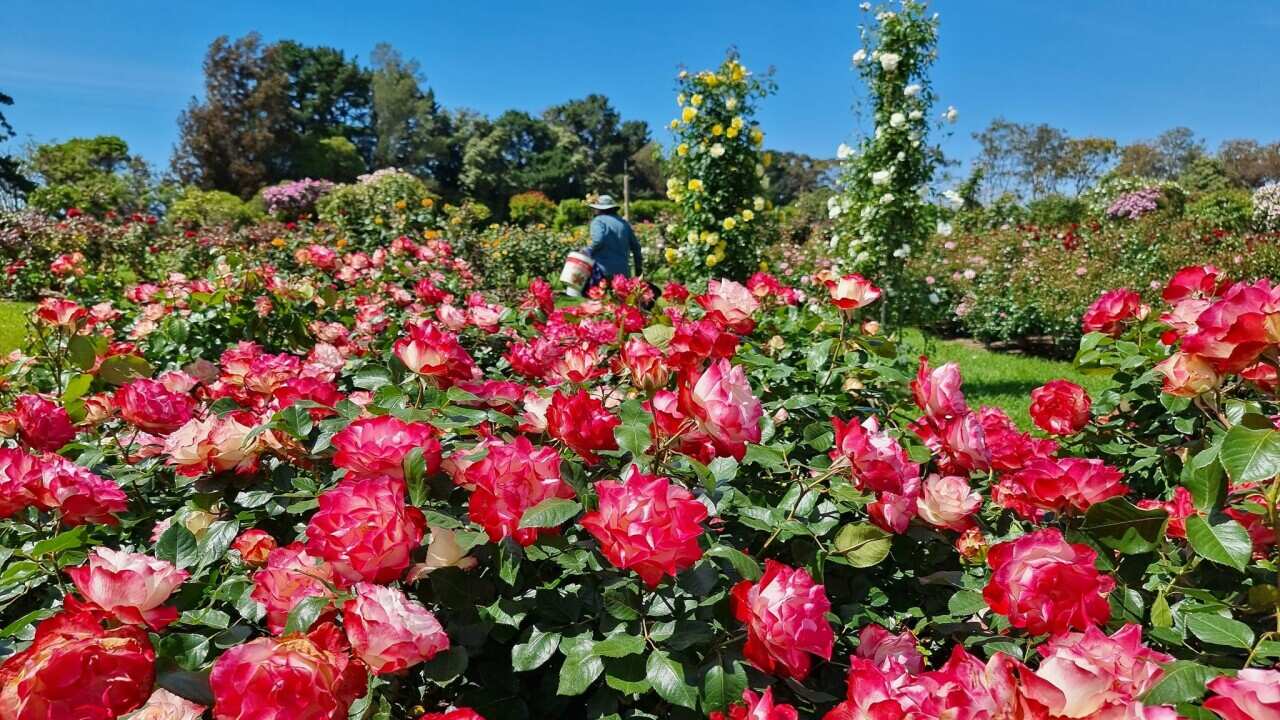 Image for read more article 'Đọc thêm'