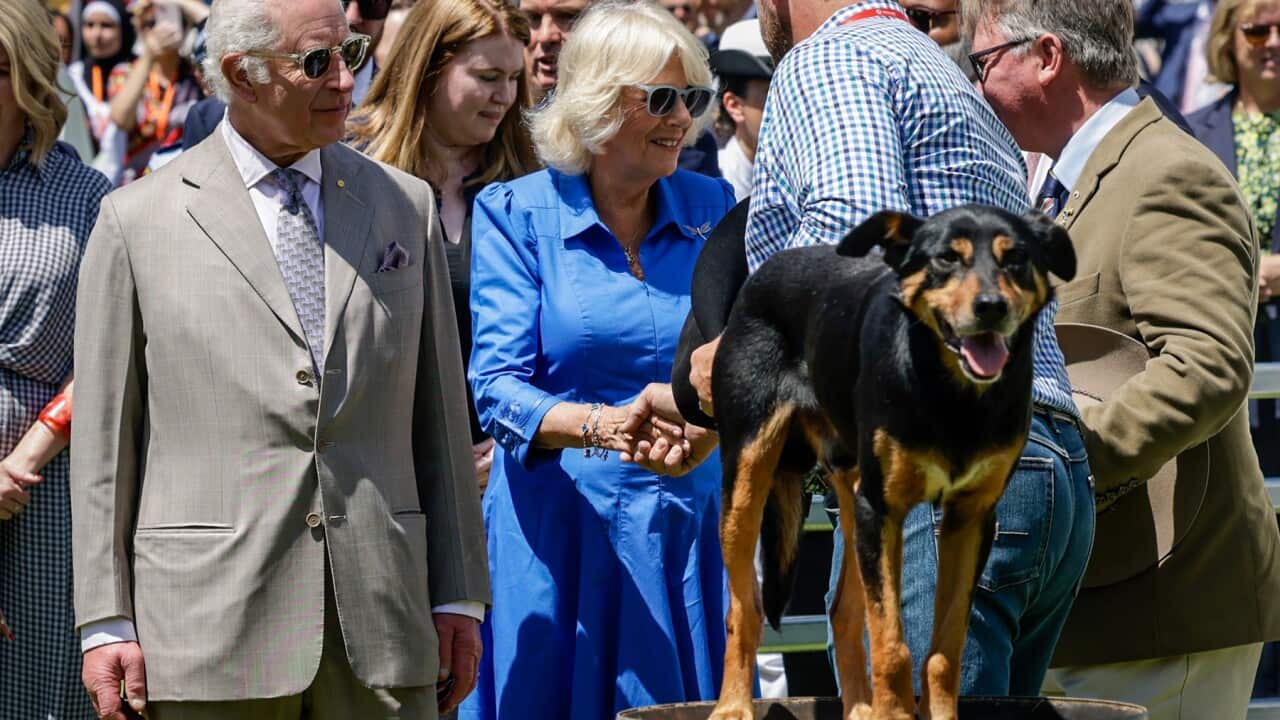 ROYALS AUSTRALIAN VISIT