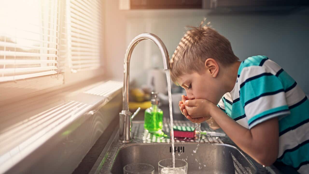 Little boy drinking tap water