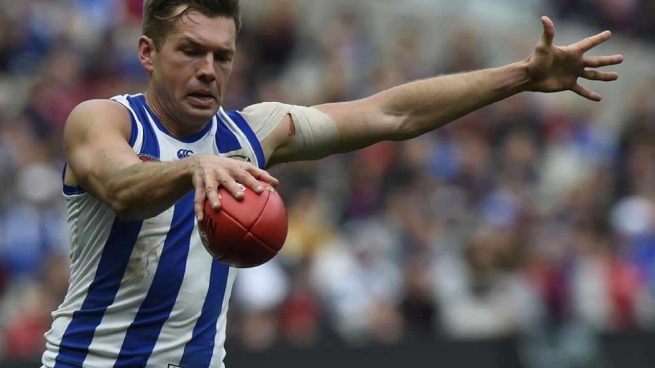 Shaun Higgins of the North Melbourne Kangaroos