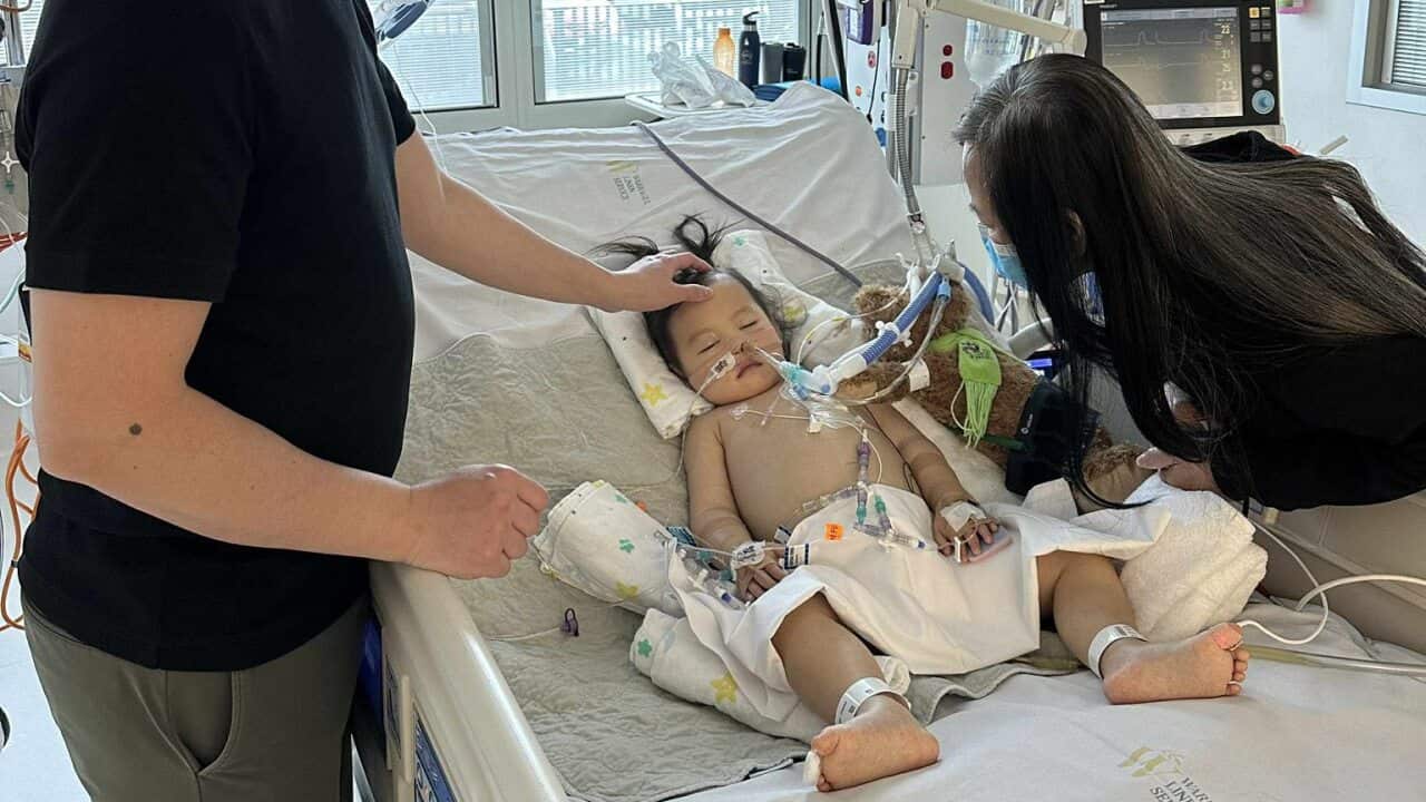 Mavis - Cancer 1.jpg