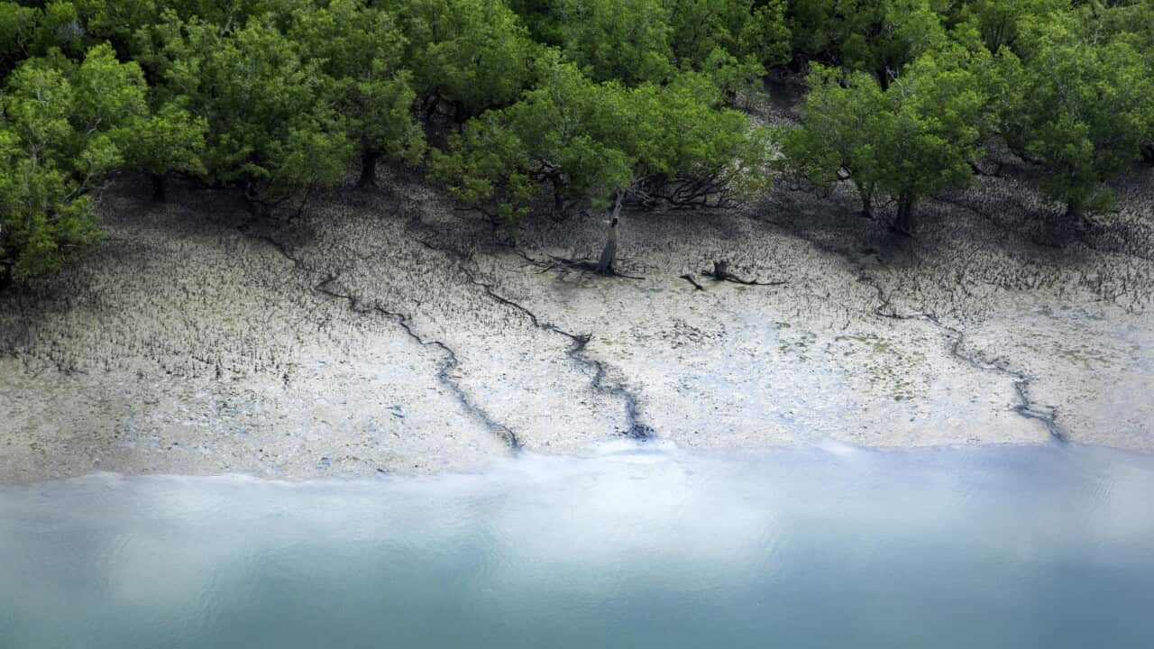 Tiwi Islands Scenic Flight